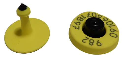 Mungitura - Impianto di mungitura - Mungitrice - 9003231 - Ear Tag HDX Cow M+F (D30) - Herd Management - Antennas & ID Tags